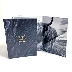 Benefits Of The Folder Pocket 2 pocket folder visible on printed bison design